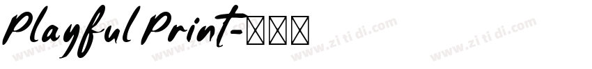 Playful Print字体转换